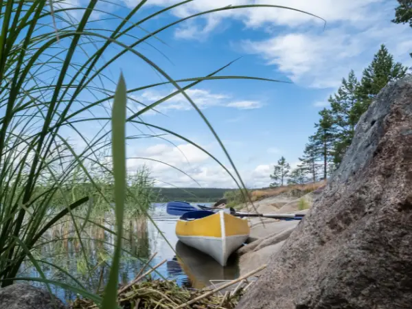 Cruises, Kayaking & Boating