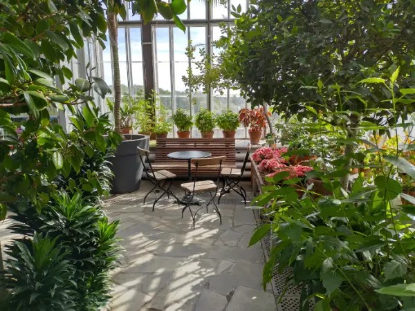 Areas in the garden