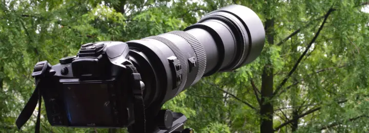 A professional long lens camera in the forest