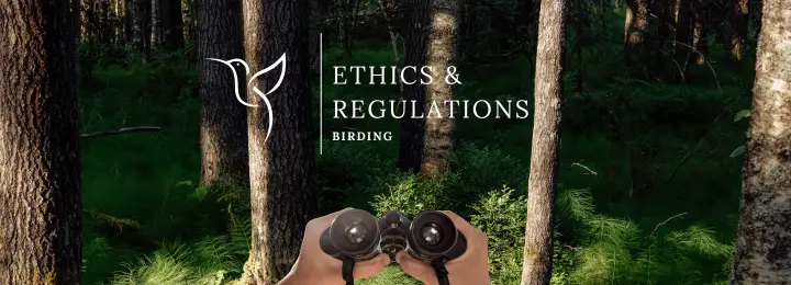 Birding Ethics & Regulations