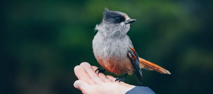 Context and Citizen Science