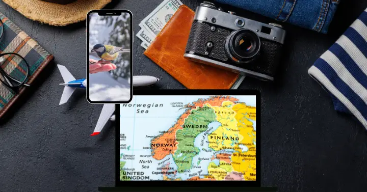 Planning Your Winter Birding Adventure