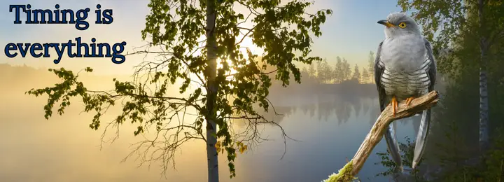 Timing Is Everything