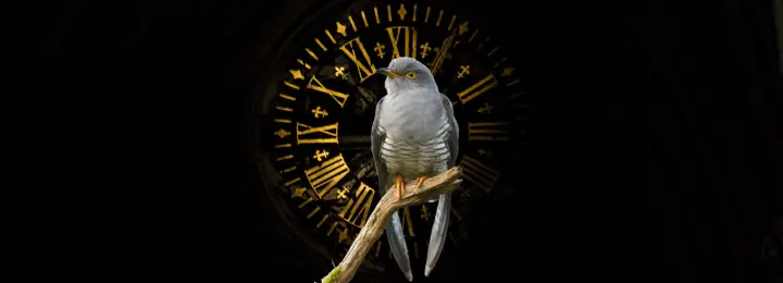 Timing Is Everything