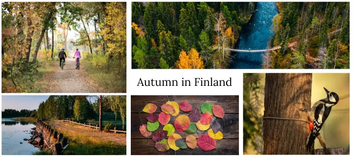 Autumn in Finland